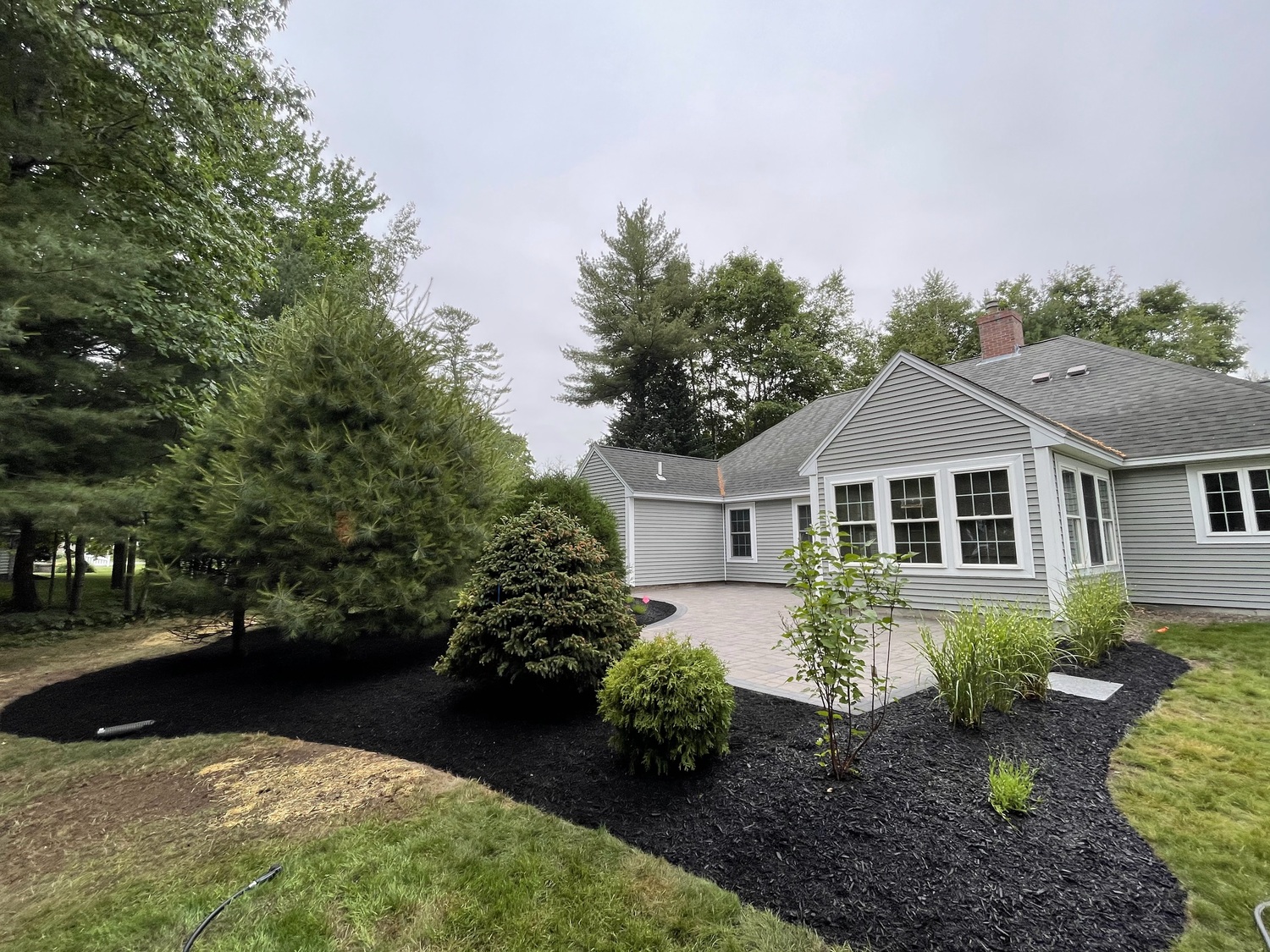 Landscaping/Plantings/ Yard Maintenance